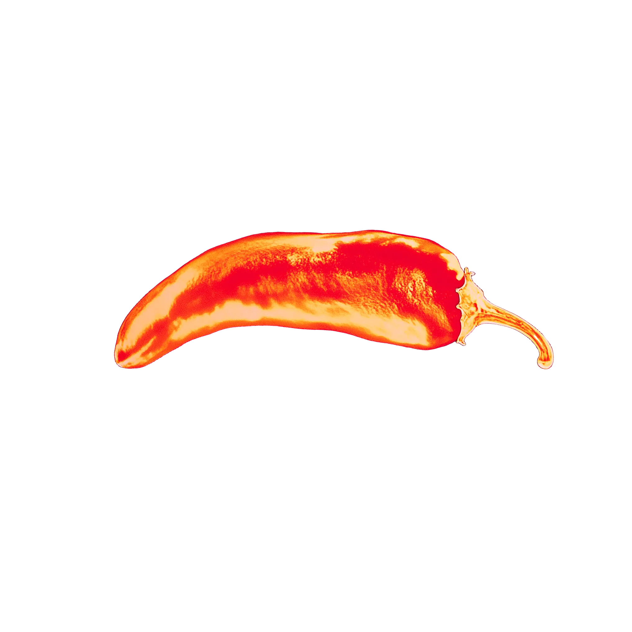 Pitchili